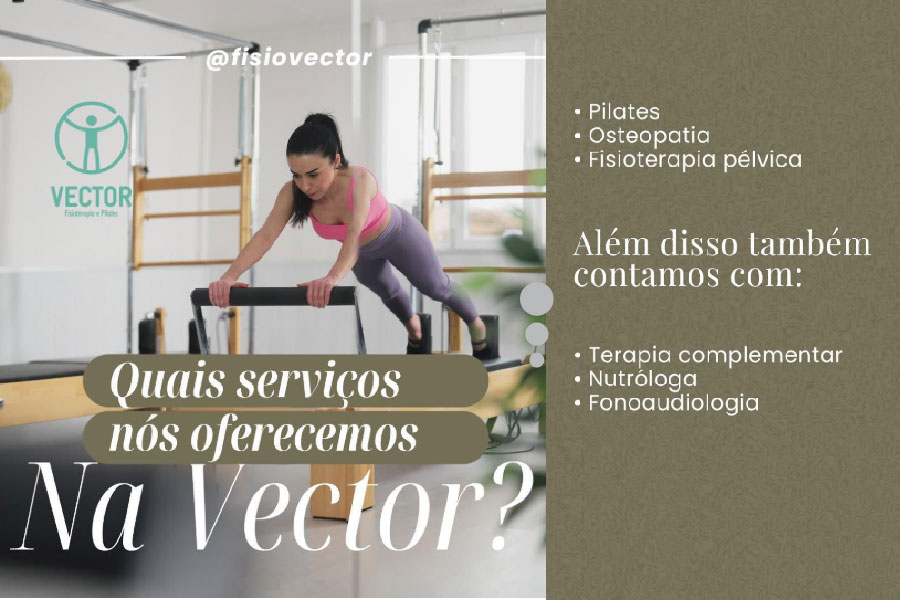 VECTOR FISIOTERAPIA E PILATES